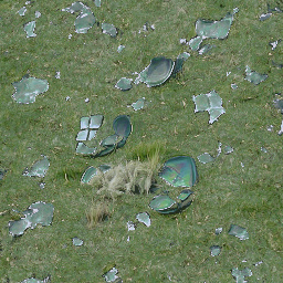 Shattered plates on the grass
